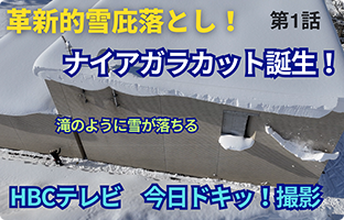 メディア掲載多数の実績